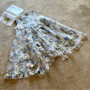 SODA Thailand designer Organza ruffle clear light blue floral maxi low-high dres